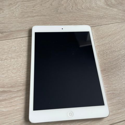 iPad Mini 2 32GB - Case Inkludert