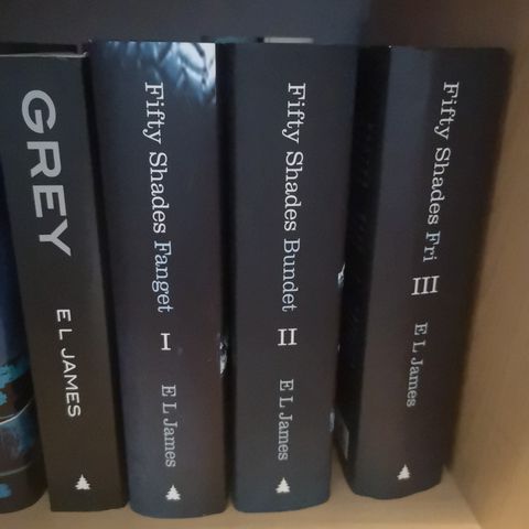 Fifty Shades av E L James.