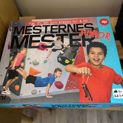 Mesternes mester jr brettspill