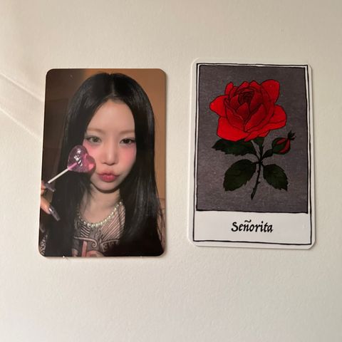 Wtt Soojin photocards