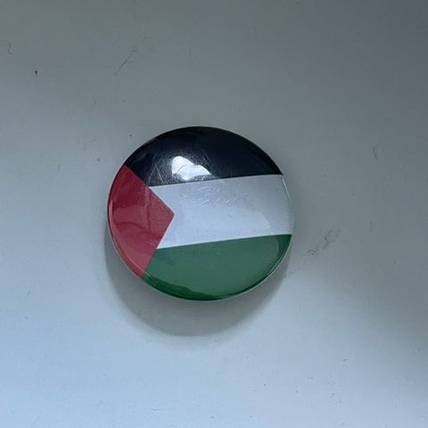 Palestina-pin