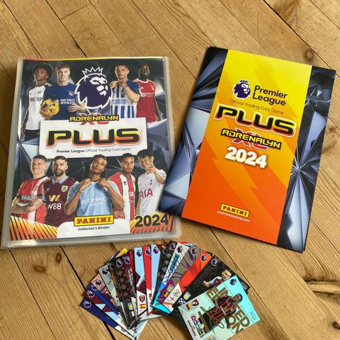 Premier League 2024 starter pack