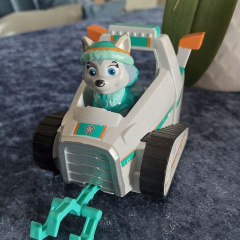 Paw patrol