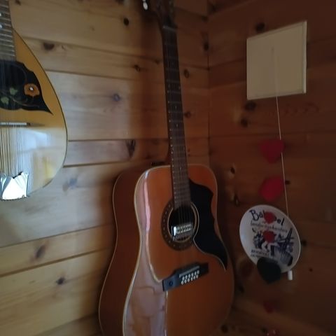 Eko j.56 12-strenger guitar med kasse