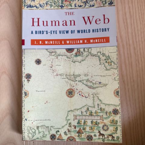 The human web - a bird’s eye view of world history