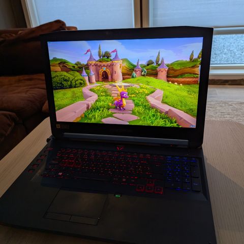 Acer Predator 17,3"/i7/GTX980m/24GB ram/128GB+1000GB