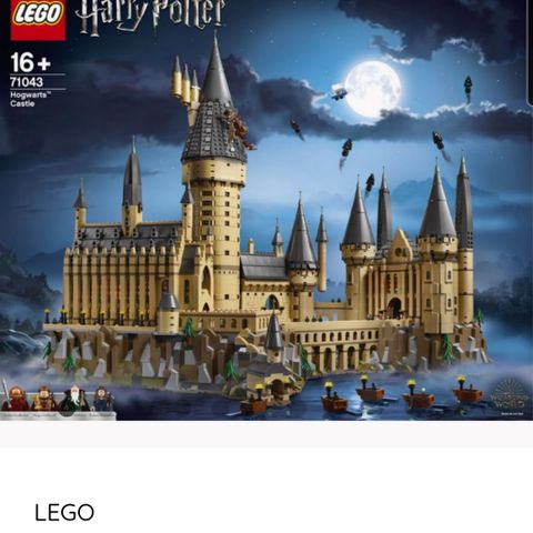 Lego Harry potter  Galtvortborgen