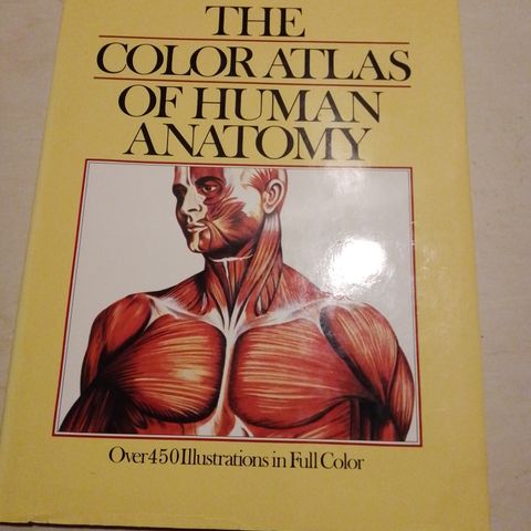 the color atlas of human anatomy