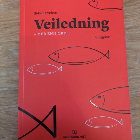 Veiledning - mer enn ord