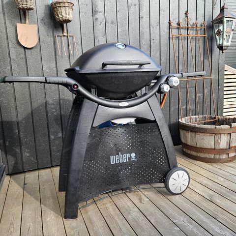 Weber q 3000