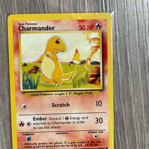 Charmender pokemon kort