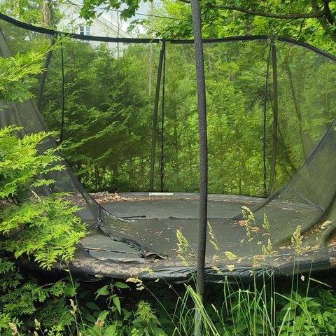 Trampoline