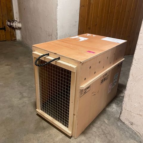 Dog crate / hundekasse /animal crate