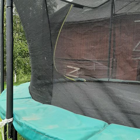 Ovaltrampoline selges