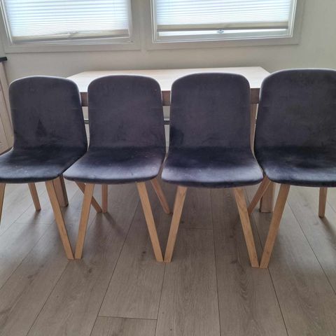 4x Bolia Palm spisestol