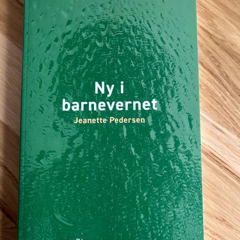 Ny i barnevernet - ISBN: 9788215063676