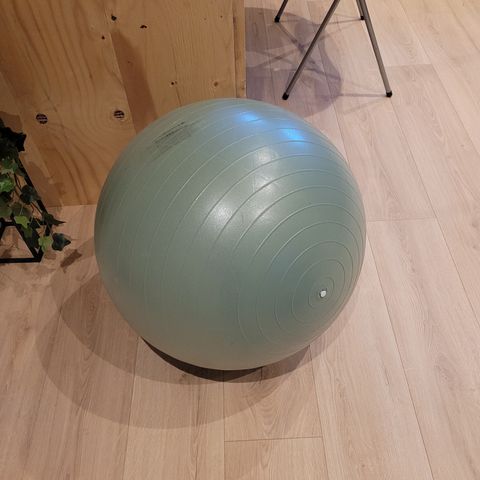 Ny/ubrukt Nordic fitness ball