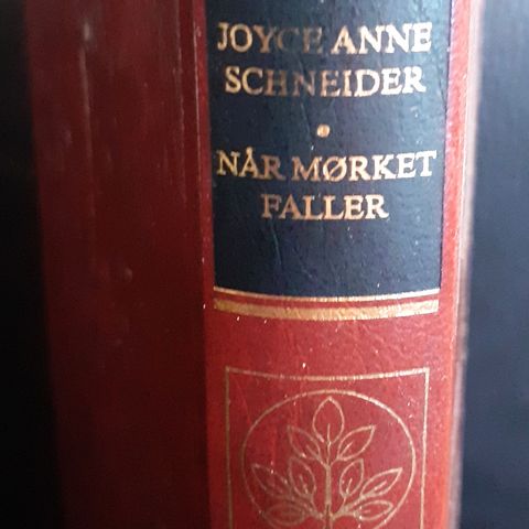 Joyce Anne Schneider - Når mørket faller