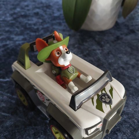 Paw patrol