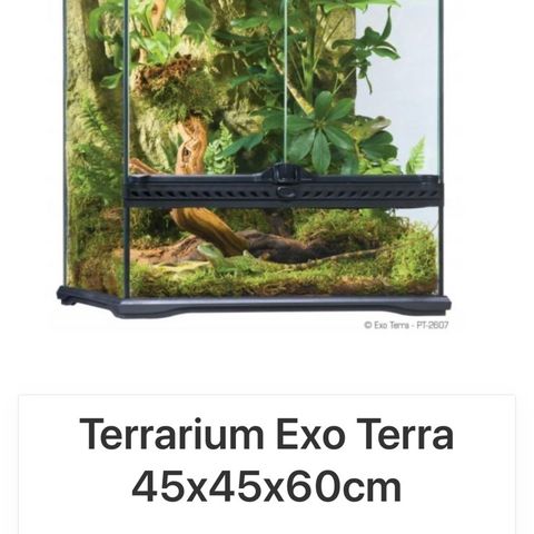 Terrarier EXO klar for salg