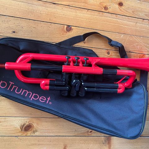 Trompet /trumpet