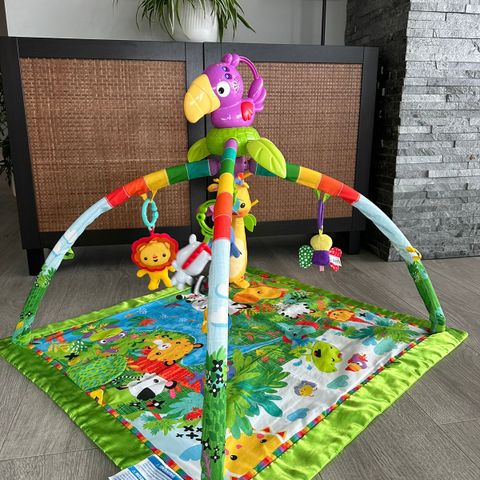 Fisher-Price babygym