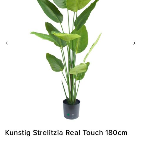 Kunstig plante - Strelitzia