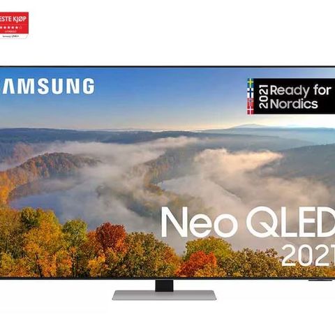 Samsung 65" TV og Samsung HW-Q950T/XE lydplanke
