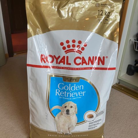 Royal Canin Golden Retriver Puppy