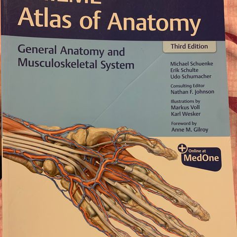 Thieme atlas of anatomy