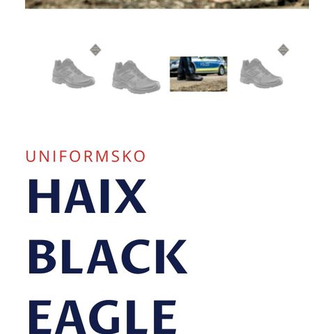 Nye Gore-Tex Haix  uniformsko sort skinn str 44