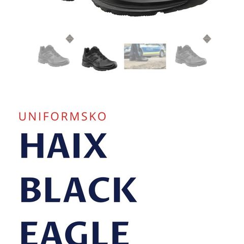 Haix Black Eagle Tactical 2.1 GTX low str 44