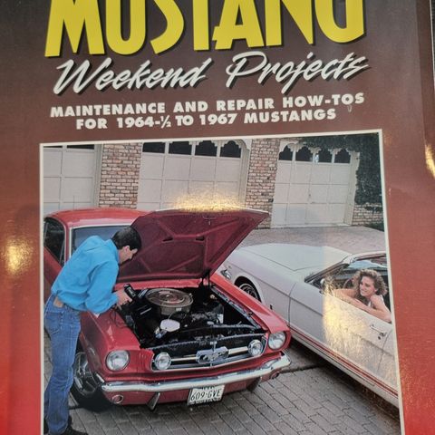 Mustang weekend projects
