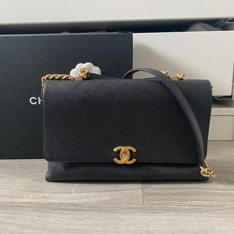 Chanel Chic Affinitiy Flap Bag