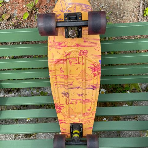 Skateboard