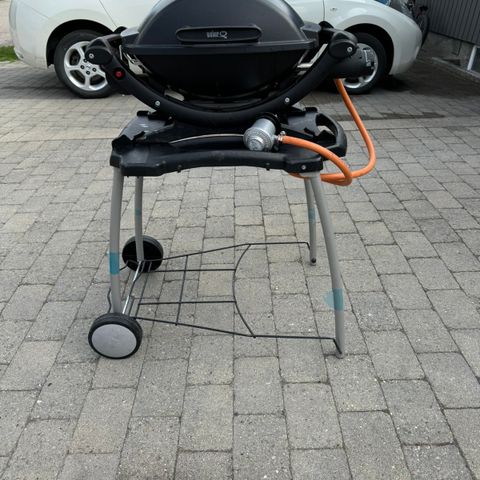 Weber q100