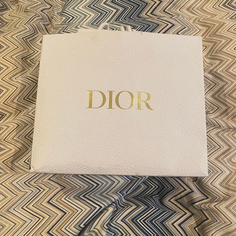 Dior poser