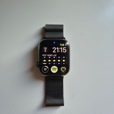 Apple Watch Series 8 GPS + Cellular 45 mm, grafitt