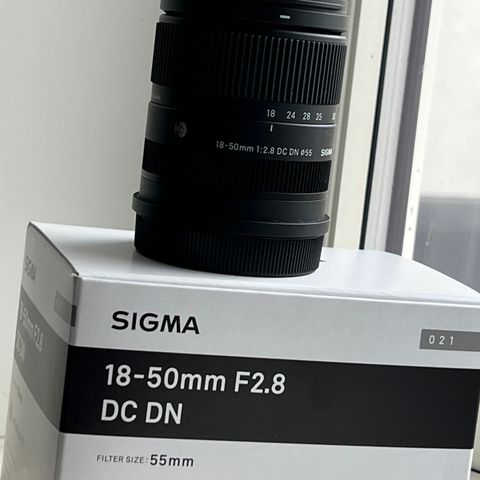 Sigma 18-50 2.8 L-mount