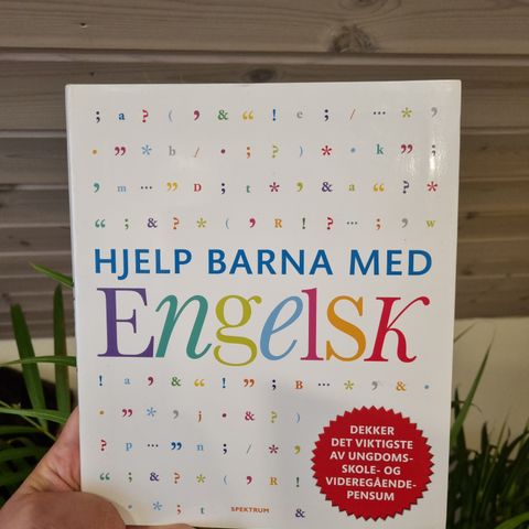 Hjelp barna med engelsk - grammatikk, tegnsetting, rettskriving, kom.ferdigheter