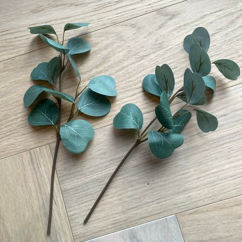 UTLEIE av kunstig eucalyptus snittplante (130 stk) til eks bryllup/konf/dåp osv