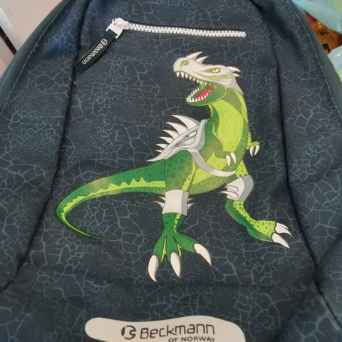 Beckmann gymbag