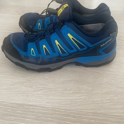 Salomon Goretex sko