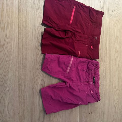 Bergans shorts