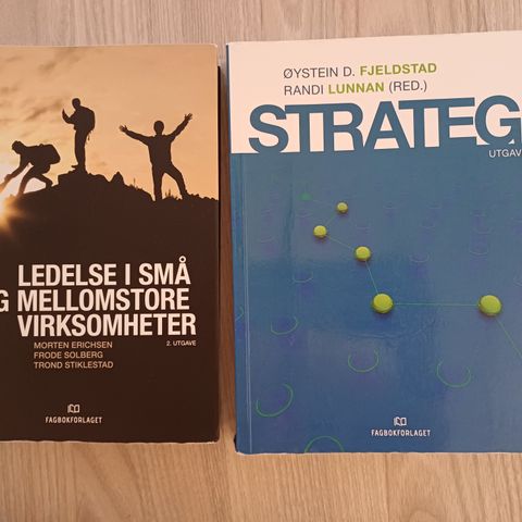 Strategi + Ledelse i små og mellomstore virksomheter