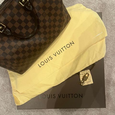 Louis vuitton speedy 30 Damier Ebene Canvas