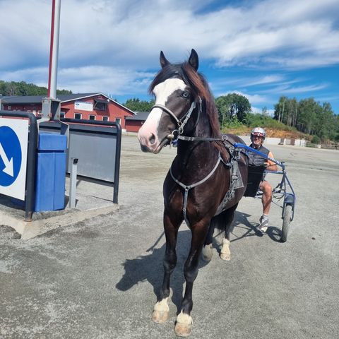 Uteboks/utestall ønskes kjøpt