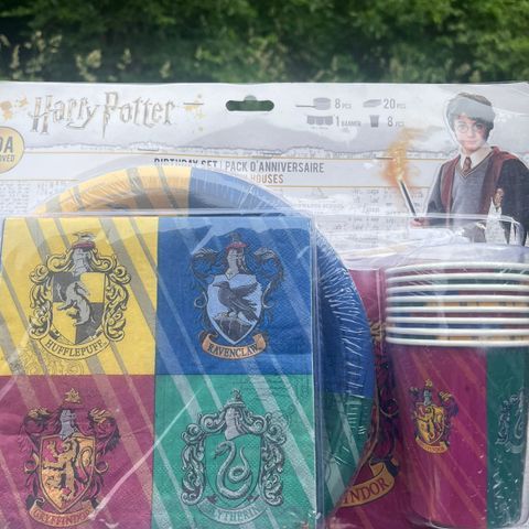 Harry Potter bursdag-sett
