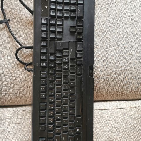 Razer blackwidow v2 tastatur