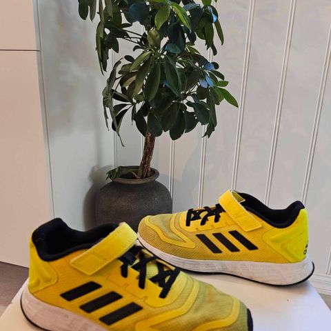 Adidas joggesko strl 35